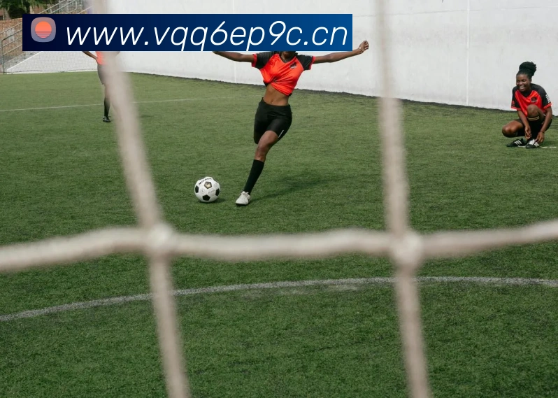 华体网首页官网APP 封面图